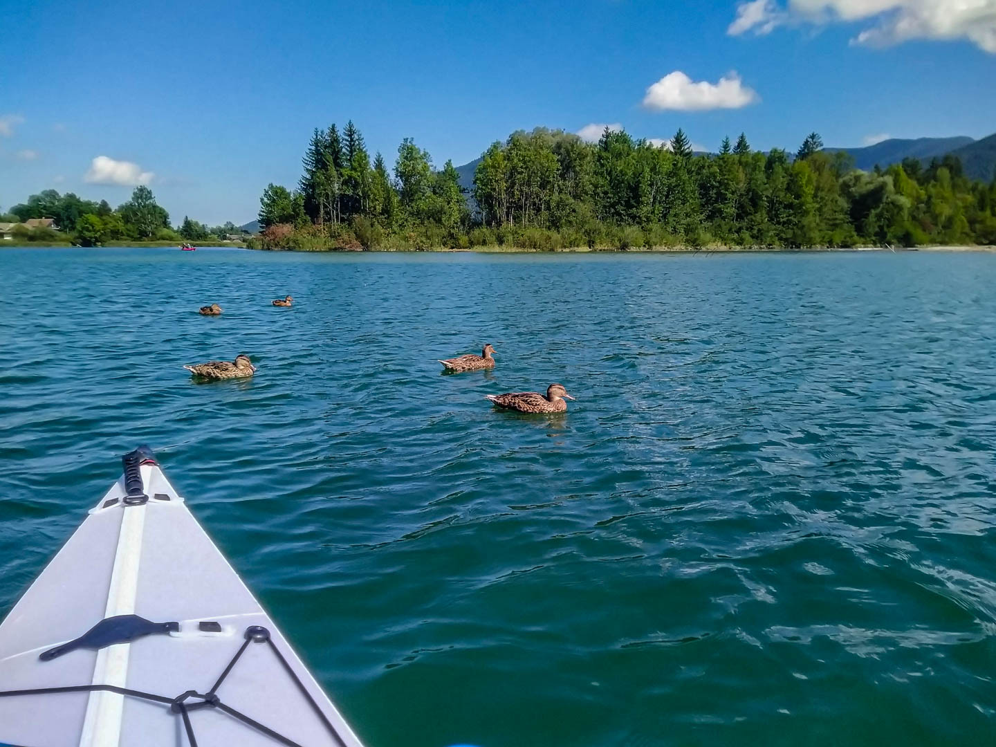 Kajaktour Tegernsee 04.09.2021